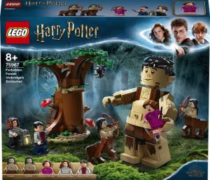 Lego Harry Potter TM 75967